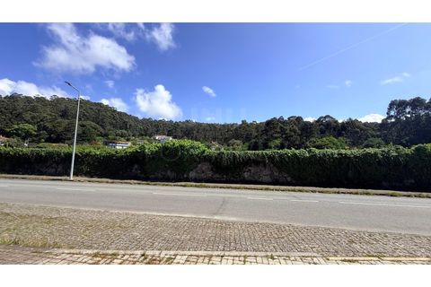 Helårsgrund i Areosa, Viana do Castelo, Areosa - € 110.000 | Ref: UNU-F3-04-415 - foto 1