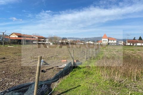 Terra a Braga, Braga, Braga - € 250/mes | Ref: TE-0004 - foto 2