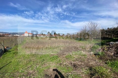 Terra a Braga, Braga, Braga - € 250/mes | Ref: TE-0004 - foto 3