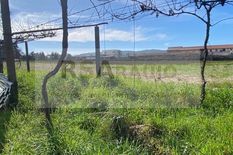 Terra a Braga, Braga, Braga - € 250/mes | Ref: TE-0004 - foto 4