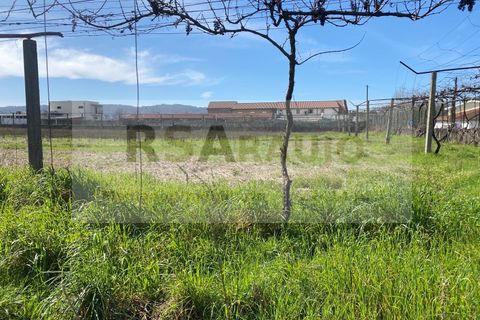 Terra a Braga, Braga, Braga - € 250/mes | Ref: TE-0004 - foto 5