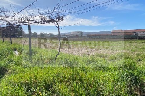 Terra a Braga, Braga, Braga - € 250/mes | Ref: TE-0004 - foto 6