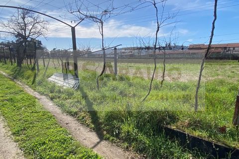 Terra a Braga, Braga, Braga - € 250/mes | Ref: TE-0004 - foto 7