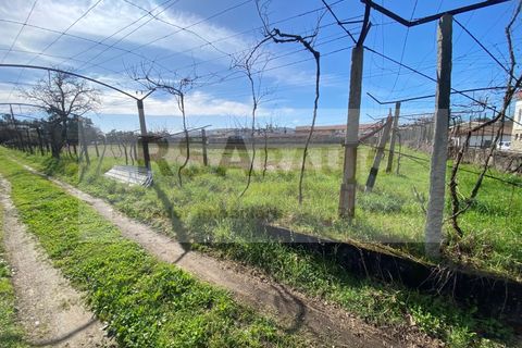 Terra a Braga, Braga, Braga - € 250/mes | Ref: TE-0004 - foto 8