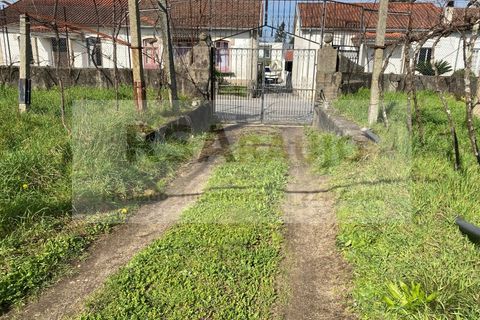 Terra a Braga, Braga, Braga - € 250/mes | Ref: TE-0004 - foto 9