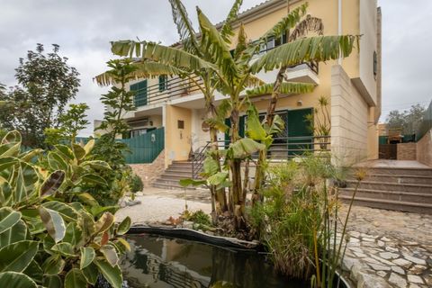 Byhus i Ermidas do Sado, Setubal, Ermidas do Sado - € 489.500 | Ref: APA_73 - foto 4