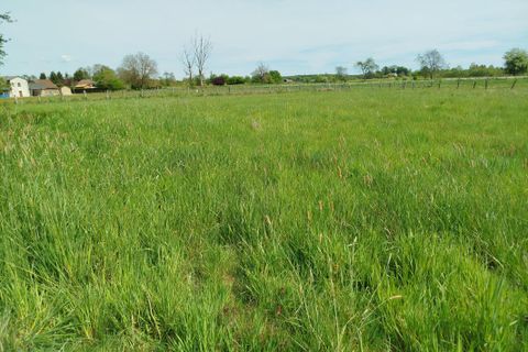 Villa i Esboz-Brest, Haute-Saone, Esboz-Brest - € 89.000 | Ref: 28480 - foto 3
