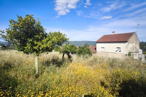 Villa en Proenca-a-Nova, Castelo Branco, Proenca-a-Nova - € 95.000 | Ref: CAS_436 - photo 14