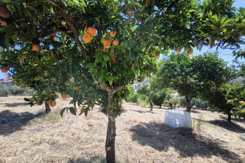 Villa en Proenca-a-Nova, Castelo Branco, Proenca-a-Nova - € 95.000 | Ref: CAS_436 - photo 15