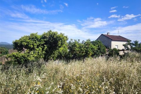 Villa en Proenca-a-Nova, Castelo Branco, Proenca-a-Nova - € 95.000 | Ref: CAS_436 - photo 17