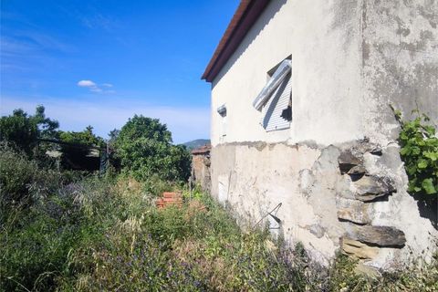 Villa en Proenca-a-Nova, Castelo Branco, Proenca-a-Nova - € 95.000 | Ref: CAS_436 - photo 28