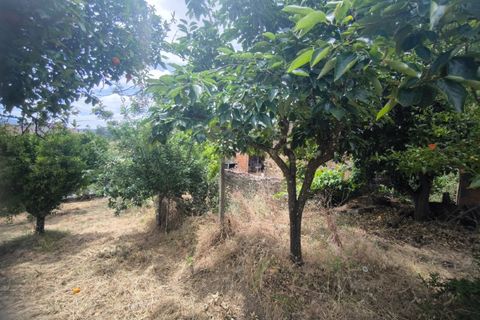 Villa en Proenca-a-Nova, Castelo Branco, Proenca-a-Nova - € 95.000 | Ref: CAS_436 - photo 33
