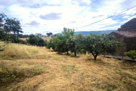 Villa en Proenca-a-Nova, Castelo Branco, Proenca-a-Nova - € 95.000 | Ref: CAS_436 - photo 34