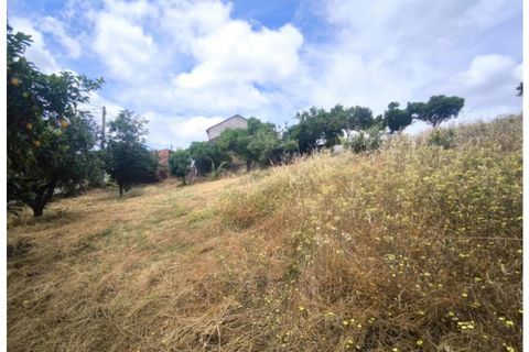 Villa en Proenca-a-Nova, Castelo Branco, Proenca-a-Nova - € 95.000 | Ref: CAS_436 - photo 35