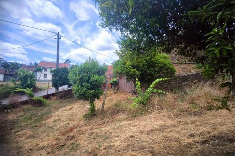 Villa en Proenca-a-Nova, Castelo Branco, Proenca-a-Nova - € 95.000 | Ref: CAS_436 - photo 37