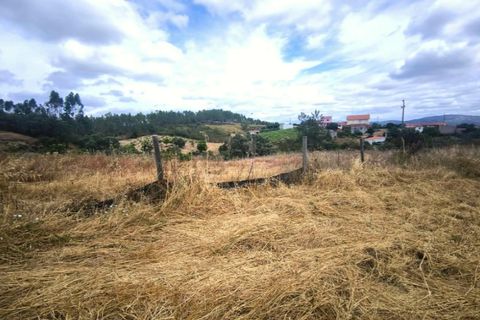 Villa en Proenca-a-Nova, Castelo Branco, Proenca-a-Nova - € 95.000 | Ref: CAS_436 - photo 39