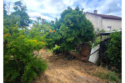 Villa en Proenca-a-Nova, Castelo Branco, Proenca-a-Nova - € 95.000 | Ref: CAS_436 - photo 41