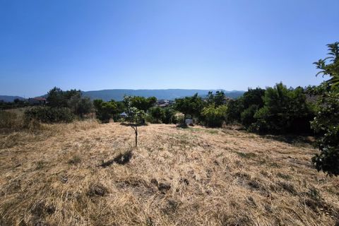 Villa en Proenca-a-Nova, Castelo Branco, Proenca-a-Nova - € 95.000 | Ref: CAS_436 - photo 43