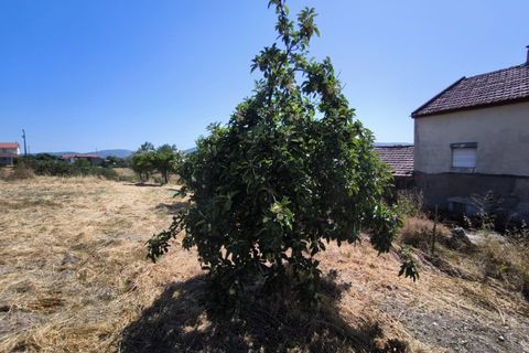 Villa en Proenca-a-Nova, Castelo Branco, Proenca-a-Nova - € 95.000 | Ref: CAS_436 - photo 49