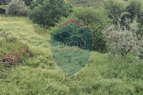 Helårsgrund i Viseu, Viseu, Viseu - € 110.000 | Ref: 2228/V - foto 5