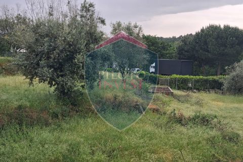 Helårsgrund i Viseu, Viseu, Viseu - € 110.000 | Ref: 2228/V - foto 6