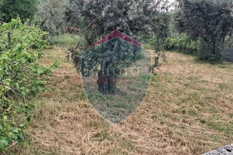 Helårsgrund i Viseu, Viseu, Viseu - € 60.000 | Ref: 2229/V - foto 2