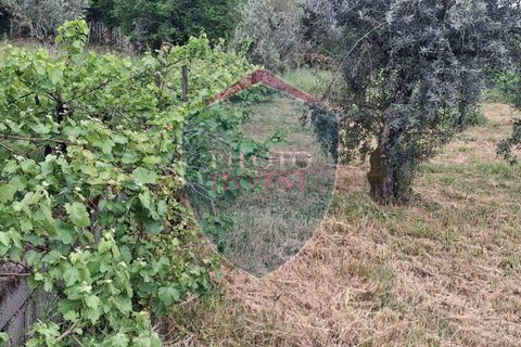 Helårsgrund i Viseu, Viseu, Viseu - € 60.000 | Ref: 2229/V - foto 4