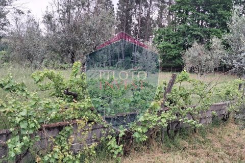 Helårsgrund i Viseu, Viseu, Viseu - € 60.000 | Ref: 2229/V - foto 5