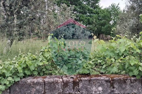 Helårsgrund i Viseu, Viseu, Viseu - € 60.000 | Ref: 2229/V - foto 6
