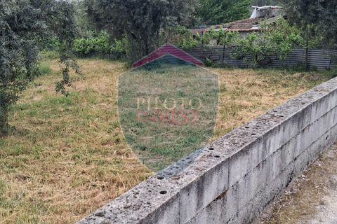 Helårsgrund i Viseu, Viseu, Viseu - € 60.000 | Ref: 2229/V - foto 7