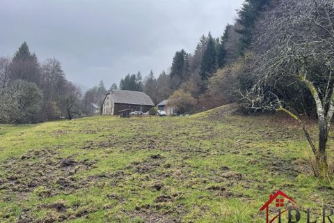 Farm i Servance, Haute-Saone, Servance - € 220.000 | Ref: 16_6392 - foto 4