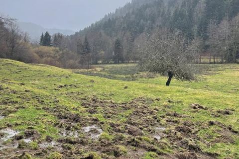 Farm i Servance, Haute-Saone, Servance - € 220.000 | Ref: 16_6392 - foto 5