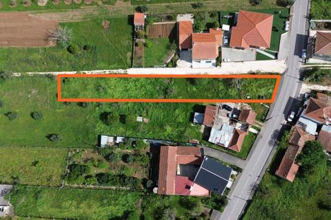 Helårsgrund i Pombal, Leiria, Pombal - € 25.000 | Ref: SF-SAFTI:008089 - foto 2