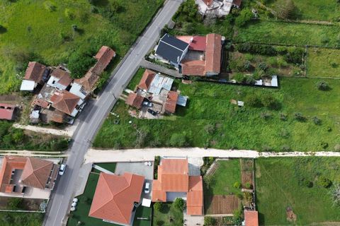 Helårsgrund i Pombal, Leiria, Pombal - € 25.000 | Ref: SF-SAFTI:008089 - foto 3