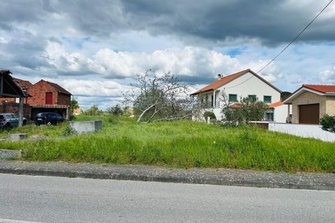 Helårsgrund i Pombal, Leiria, Pombal - € 25.000 | Ref: SF-SAFTI:008089 - foto 4