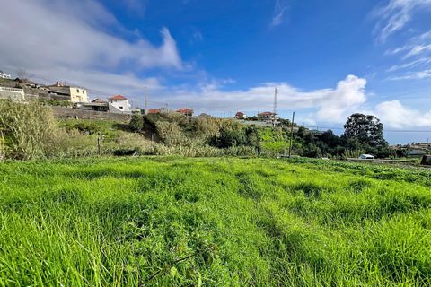 Helårsgrund i Ponta do Sol, Madeira, Ponta do Sol - € 105.000 | Ref: SF-SAFTI:008167 - foto 5