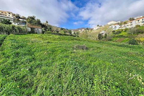 Helårsgrund i Ponta do Sol, Madeira, Ponta do Sol - € 105.000 | Ref: SF-SAFTI:008167 - foto 6