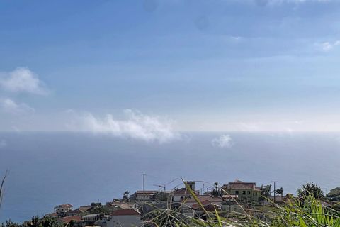 Helårsgrund i Ponta do Sol, Madeira, Ponta do Sol - € 105.000 | Ref: SF-SAFTI:008167 - foto 10