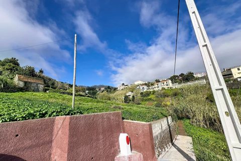 Helårsgrund i Ponta do Sol, Madeira, Ponta do Sol - € 105.000 | Ref: SF-SAFTI:008167 - foto 11