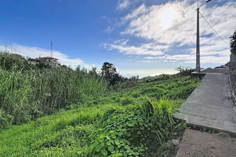 Helårsgrund i Ponta do Sol, Madeira, Ponta do Sol - € 105.000 | Ref: SF-SAFTI:008167 - foto 12