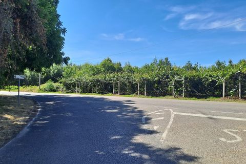 Helårsgrund i Anadia, Aveiro, Anadia - € 34.950 | Ref: SF-SAFTI:008155 - foto 3