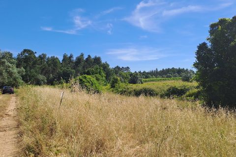 Helårsgrund i Anadia, Aveiro, Anadia - € 34.950 | Ref: SF-SAFTI:008155 - foto 7