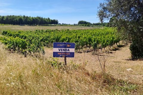 Helårsgrund i Anadia, Aveiro, Anadia - € 34.950 | Ref: SF-SAFTI:008155 - foto 13