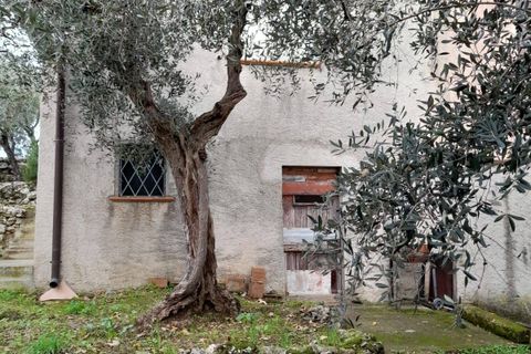 Tomt i Pietrasanta, Lucca, Pietrasanta - € 120 000 | Ref: 2026lu031 - foto 7
