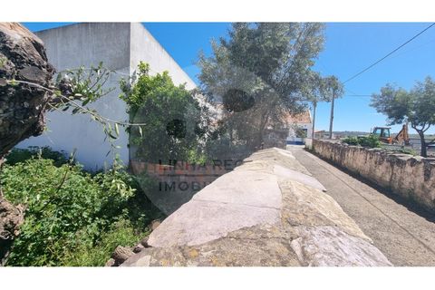 Byhus i Almodovar, Beja, Almodovar - € 42.500 | Ref: M2-001.26 - foto 4