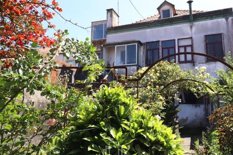 Landejendom i Ovar, Aveiro, Ovar - € 290.000 | Ref: 059-OVR - foto 15