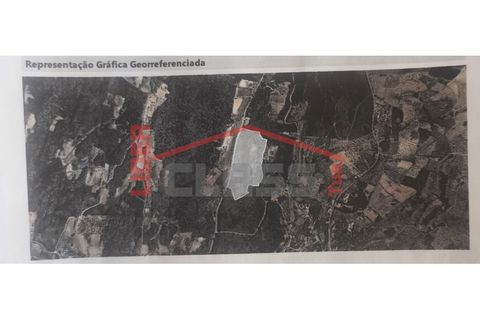 Terra a Vila Flor, Braganca, Vila Flor - € 50.000 | Ref: 0972 - foto 9