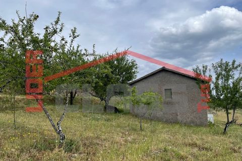 Terra a Vila Flor, Braganca, Vila Flor - € 50.000 | Ref: 0972 - foto 2