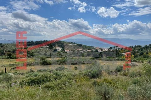 Terra a Vila Flor, Braganca, Vila Flor - € 50.000 | Ref: 0972 - foto 3