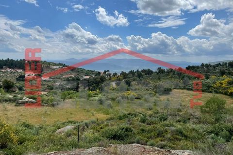 Terra a Vila Flor, Braganca, Vila Flor - € 50.000 | Ref: 0972 - foto 4